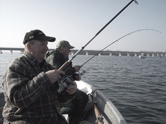 Killikus&reg; Fotographie